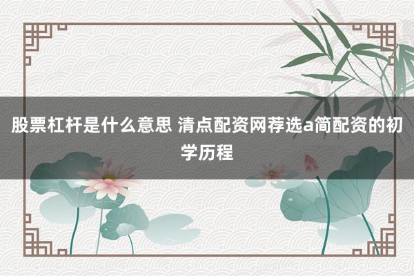 股票杠杆是什么意思 清点配资网荐选a简配资的初学历程