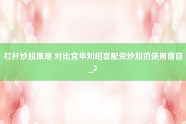 杠杆炒股原理 对比宜华刘绍喜配资炒股的使用面目_2